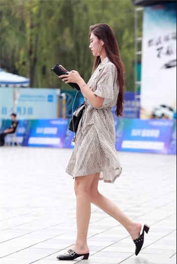 小菊花软件激活码