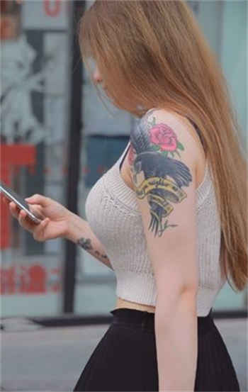 色猪app官网下载安装