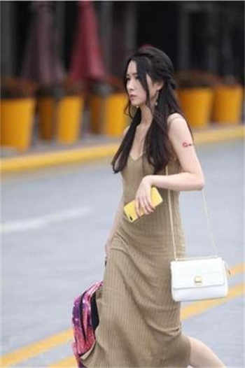 春光乍泄txt枯木逢春