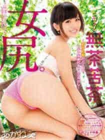 天黑前抱兔在线